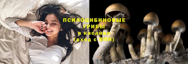 мяу мяу мука Алзамай