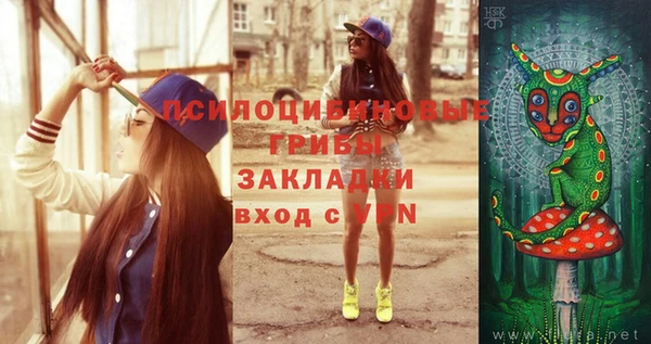 амф Алексин