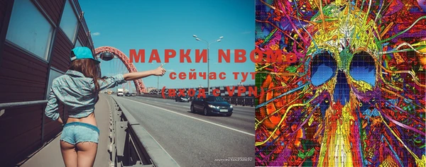 амф Алексин