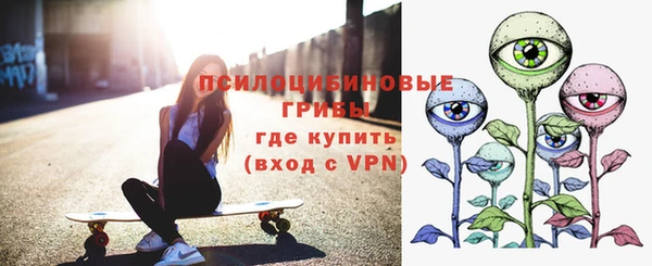 мяу мяу мука Алзамай