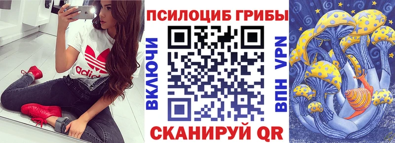 Галлюциногенные грибы Magic Shrooms Малаховка